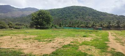 Residential Plot