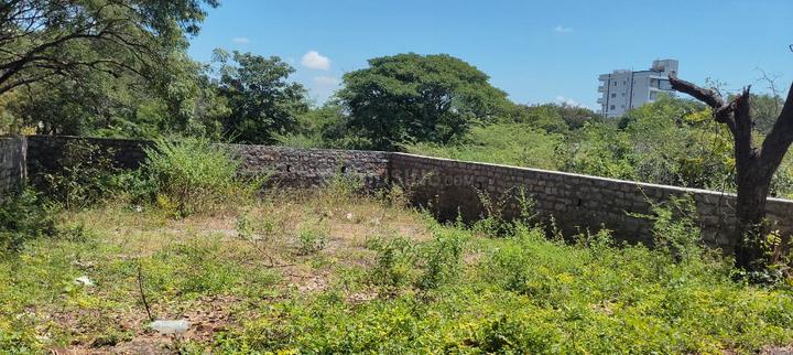 Manasa Hills Main Image 1