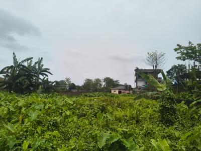 Image of 2160 Sq.ft Residential Plot / Land for sale in Joy Mangla, Nalbari for Rs. 2600000