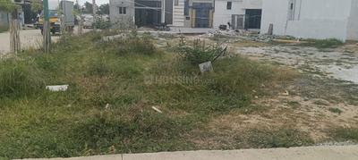 Jinke Thimmanahalli Plot View 1