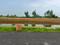 Gosainganj Plot View 1