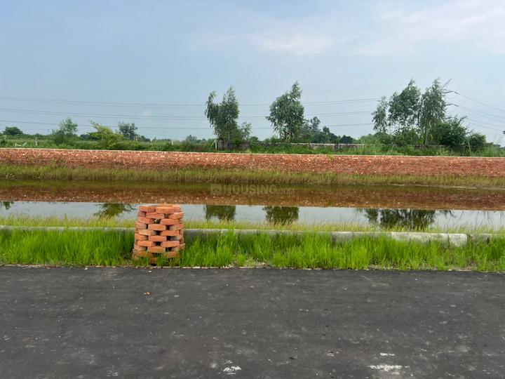 Gosainganj Plot View 1