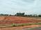 Sulur Main Image 1