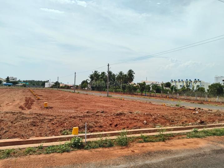 Sulur Main Image 1