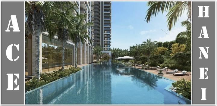 Ace Hanei Main Image 1