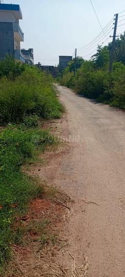 Kurali Main Image 1