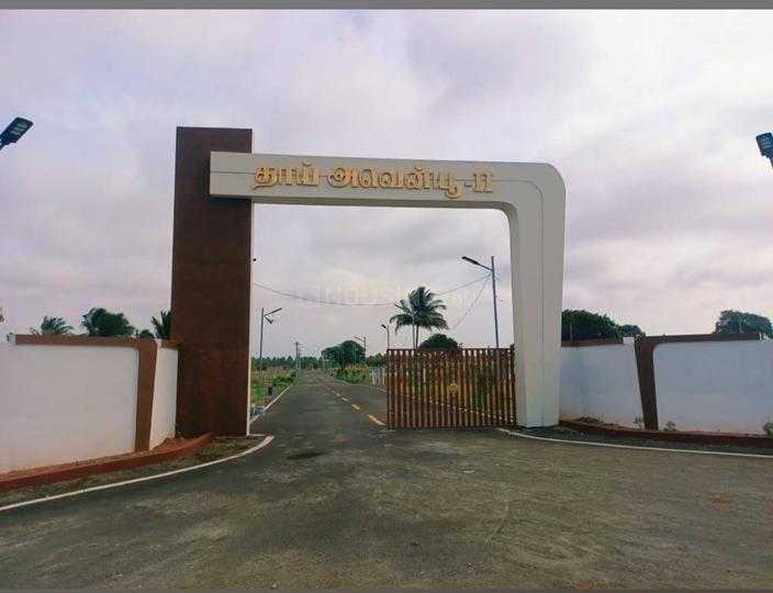 Kinathukadavu  Plot View 1