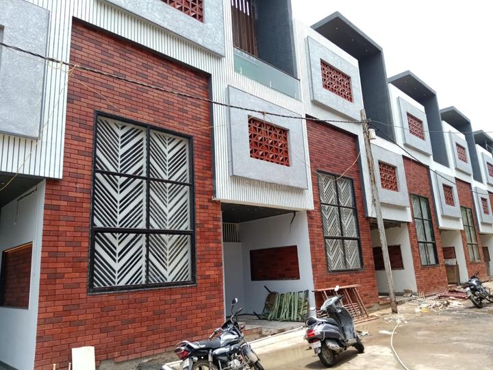 Parul Palm Green Main Image 1