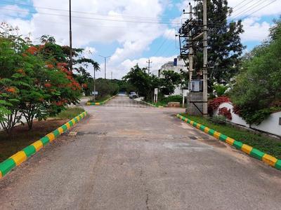 BMRDA Plot View 2