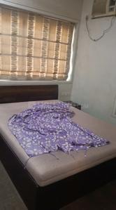 Bedroom Image of 800 Sq.ft 1.5 BHK Apartment / Flat for rent in Gala Tower, Chinchpokli Mumbai for Rs. 70000