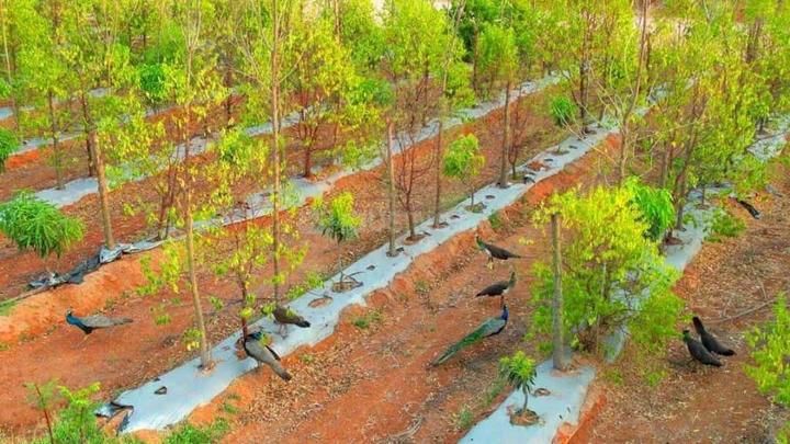 Snehapuri Colony, LB Nagar Main Image 1