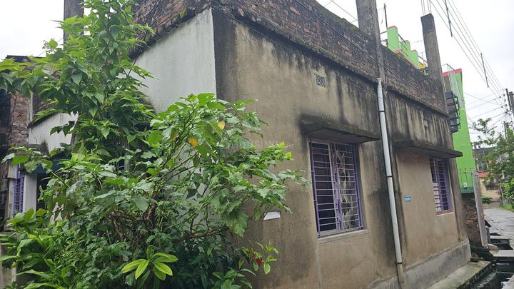 Green House Main Image 1