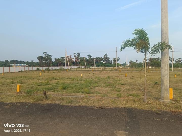 Sea pearl Main Image 1
