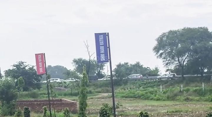 Yeida Main Image 1