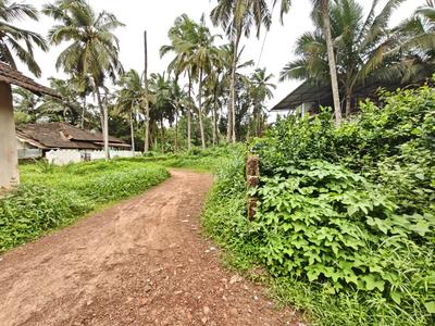 Residential Plot