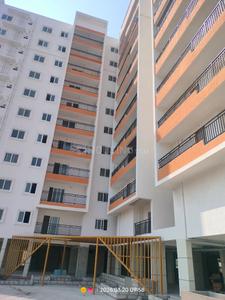 3 BHK Flat