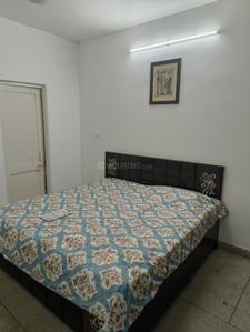 Bedroom Image of 1200 Sq.ft 3 BHK Apartment / Flat for rent in DDA SFS Flats, Sector 22 Dwarka New Delhi for Rs. 37000