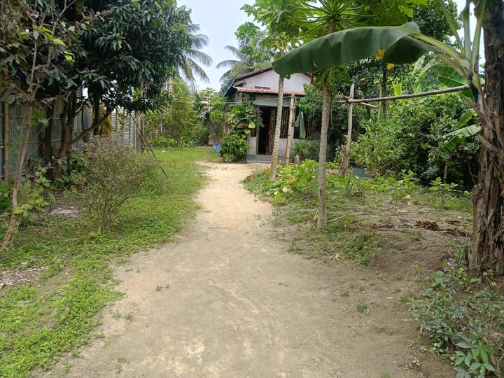 Amingaon Main Image 1