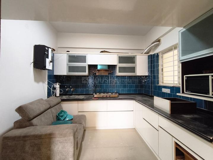 Druva Daffodils Main Image 1