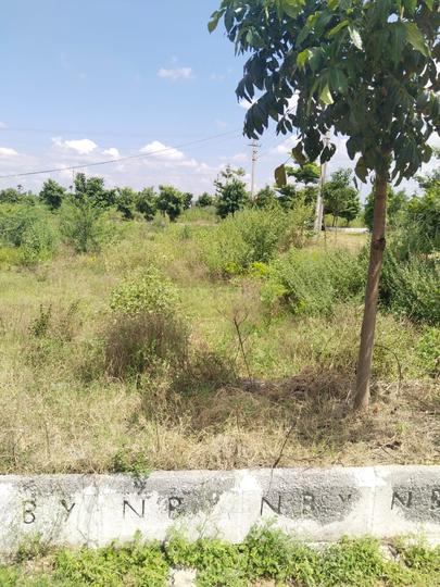 Choutuppal Main Image 1