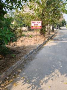 Image of 2295 Sq.ft Residential Plot / Land for sale in TDI City, TDI City, Panipat for Rs. 13500000