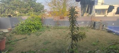 Image of 6000 Sq.ft 6 BHK Independent House for sale in Sector 72, Noida for Rs. 75000000