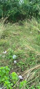 Image of 612 Sq.ft Residential Plot / Land for sale in Daheli Sujanpur, Kanpur for Rs. 850000