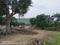 Simrol Plot View 2