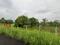 Tawle River Rain Valley Main Image 1