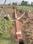 Bihta Main Image 1