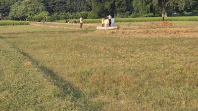 Image of 900 Sq.ft Residential Plot / Land for sale in Naini, Allahabad for Rs. 1800000