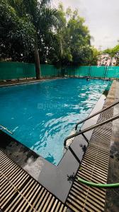 Image of 1185 Sq.ft 2 BHK Apartment / Flat for sale in Abhay Atharva Bliss, Bavdhan, Pune for Rs. 11500000