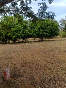 Image of 1200 Sq.ft Residential Plot / Land for sale in Koovathur, Chennai for Rs. 990000