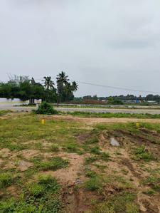 Residential Plot