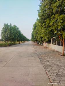 Image of 1210 Sq.ft Residential Plot / Land for sale in Mihan, Nagpur for Rs. 4277000