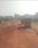 Birjapur Main Image 1