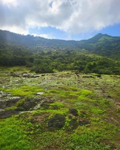 Image of 20000 Sq.ft Residential Plot / Land for sale in Bhor, Pune for Rs. 1800000