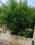 Gomti Nagar Vivek Khand 2 More Images 2