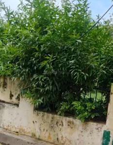 Image of 3500 Sq.ft 4 BHK Independent House for sale in Gomti Nagar, Lucknow for Rs. 36500000