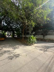 Residential Plot