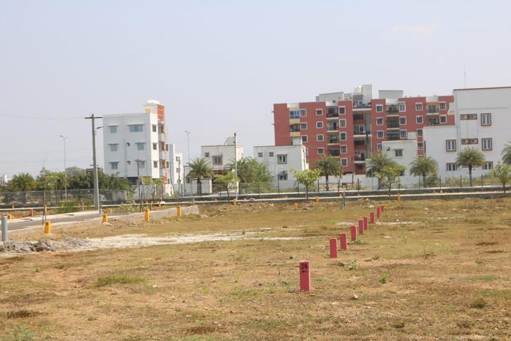New Market Main Image 1