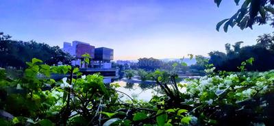 Image of 2200 Sq.ft 3 BHK Villa for rent in Sterling Villa Grande, K R Puram, Bengaluru for Rs. 110000