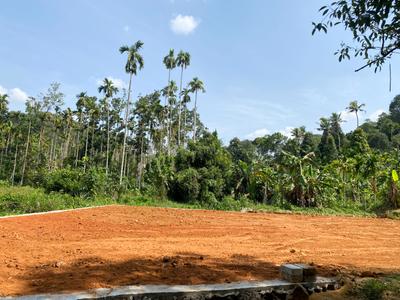 Image of 180 Sq.ft 1 BHK Villa for sale in Thottumkalpeedika, Muvattupuzha for Rs. 6000000