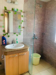 Image of 506 Sq.ft 1 RK Apartment / Flat for sale in Nimbus The Golden Palms, Sector 168, Noida for Rs. 6600000