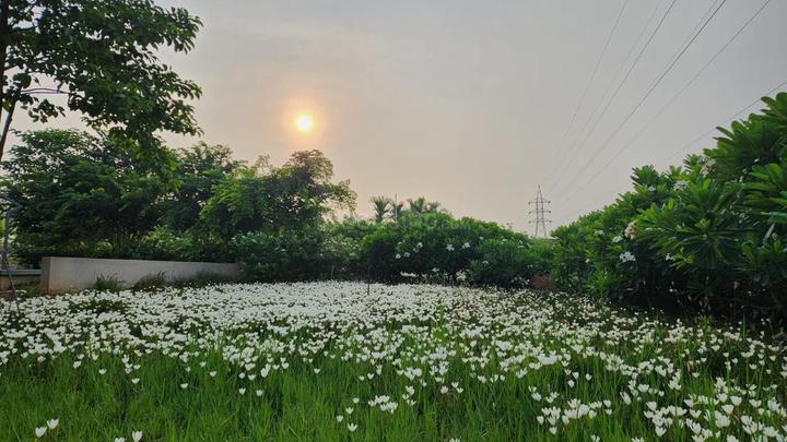 Godrej Reserve Phase 1 Main Image 1