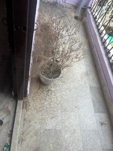 Balcony Image of 600 Sq.ft 1.5 BHK Builder Floor for rent in Patel Nagar New Delhi for Rs. 18000