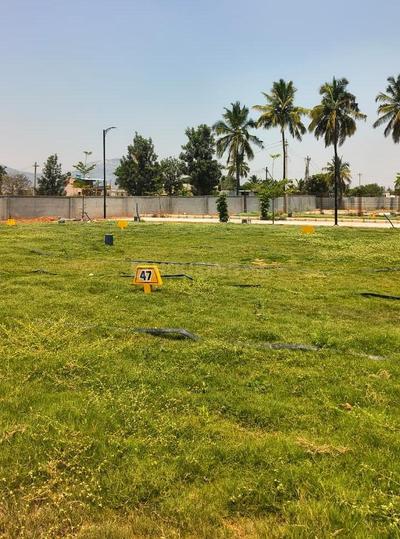 Devanahalli Main Image 1