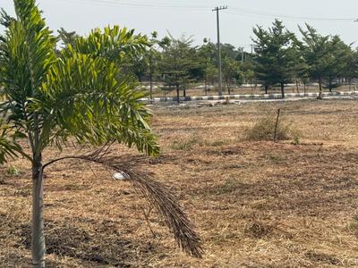 Residential Plot