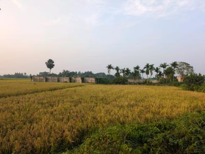 Image of 1440 Sq.ft Residential Plot / Land for sale in New Town, Kolkata for Rs. 2550000