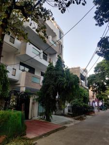 Image of Ganpati Girls Pg  in Sector 41, Noida